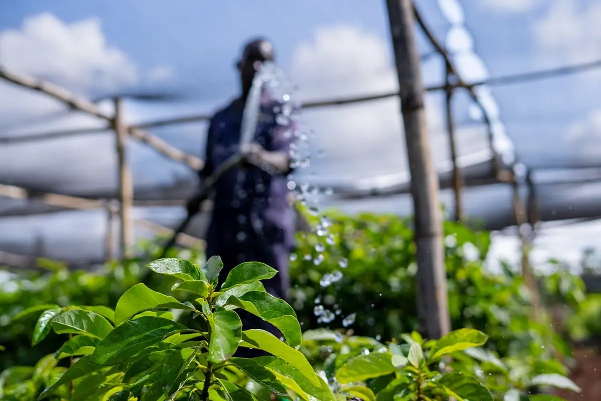 86 of the Spanish stock market plans to carbon neutral